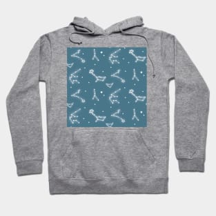 Ocean Constellations Hoodie